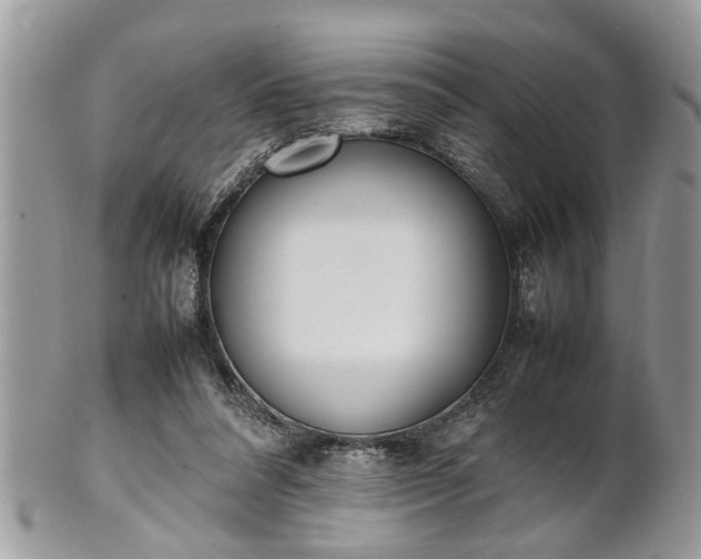 X0000101220304200807071354