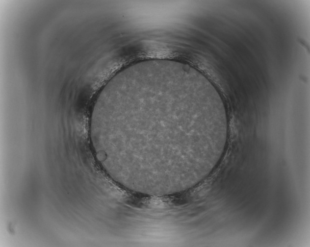 X0000101220305200807071354