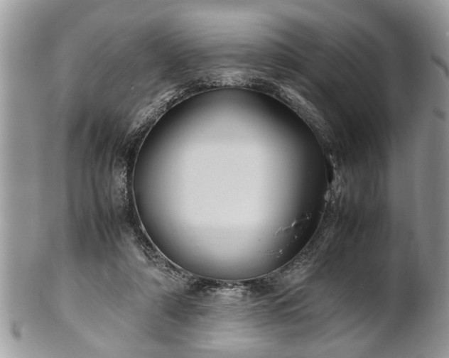 X0000101220306200807071354