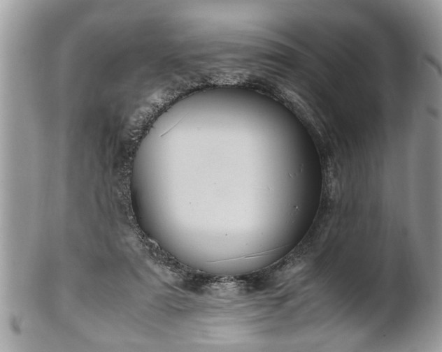 X0000101220307200807071354