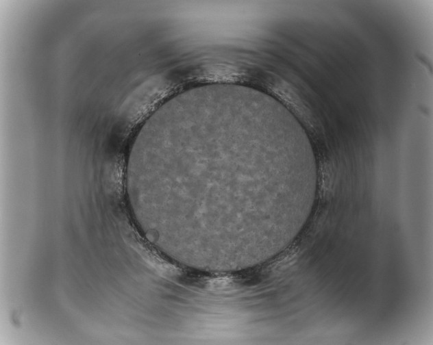 X0000101220309200807071354