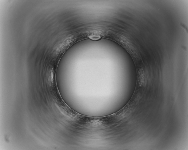 X0000101220310200807071354