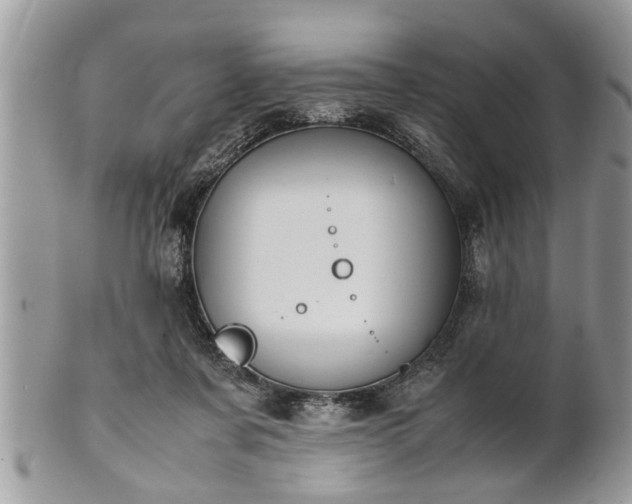 X0000101220311200807071354