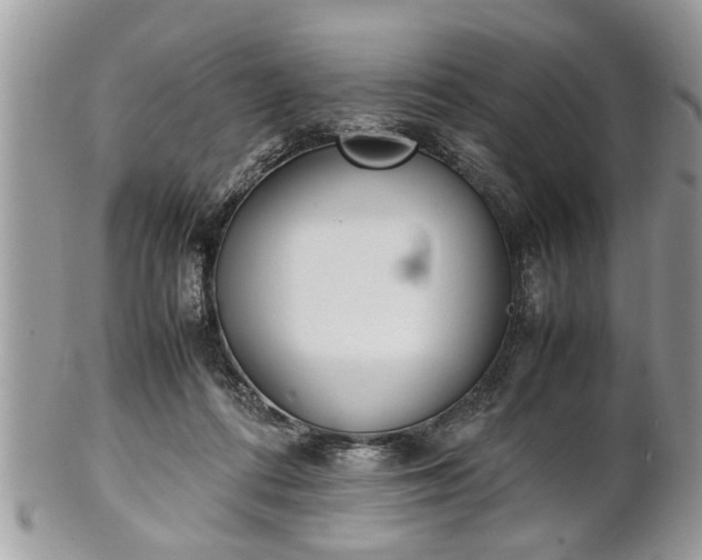 X0000101220312200807071354