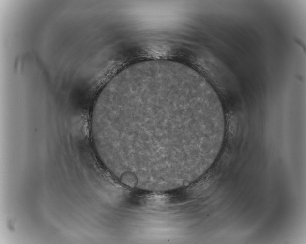 X0000101220313200807071354