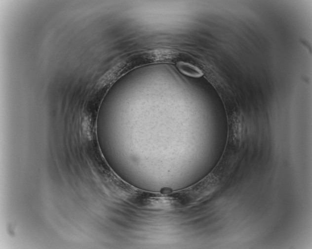 X0000101220316200807071354