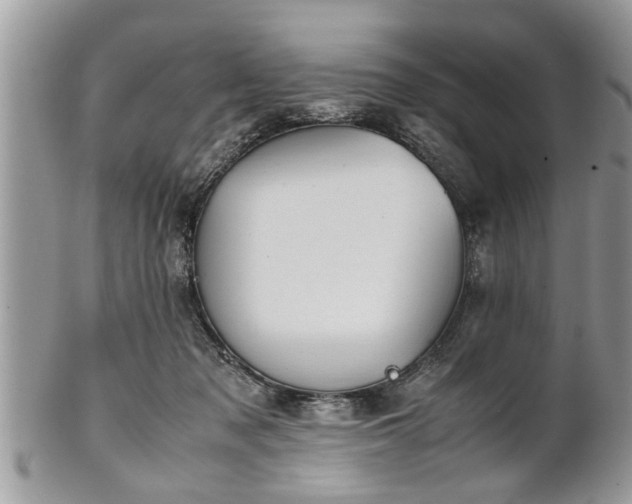X0000101220317200807071354