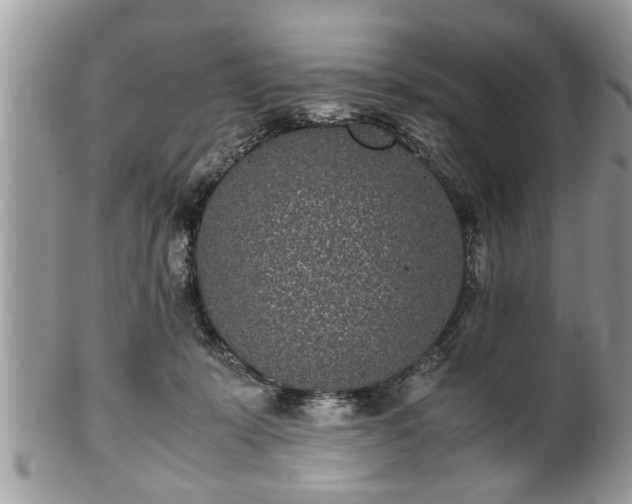 X0000101220319200807071354