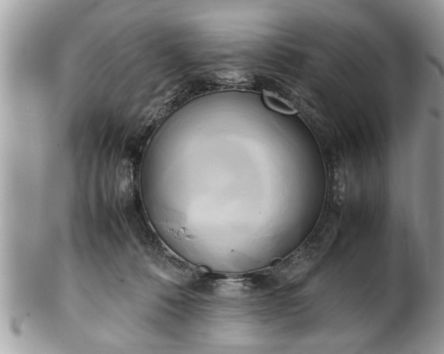 X0000101220320200807071354