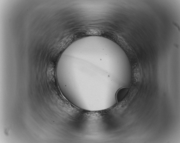 X0000101220322200807071354
