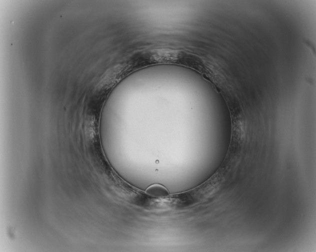 X0000101220323200807071354