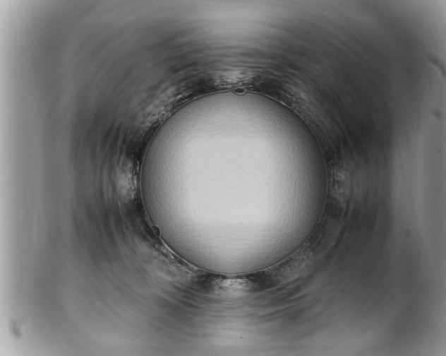 X0000101220324200807071354