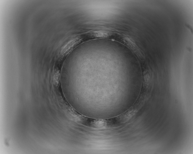 X0000101220325200807071354
