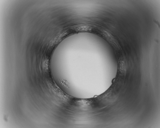 X0000101220326200807071354