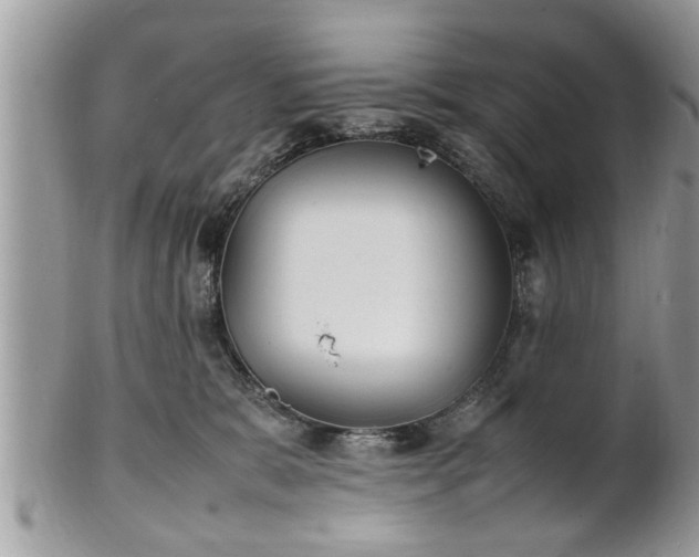 X0000101220327200807071354