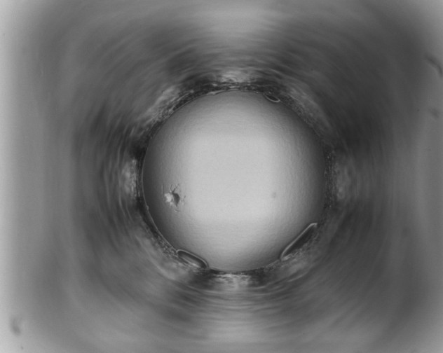 X0000101220328200807071354