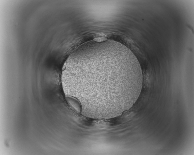 X0000101220331200807071354