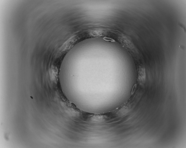 X0000101220332200807071354