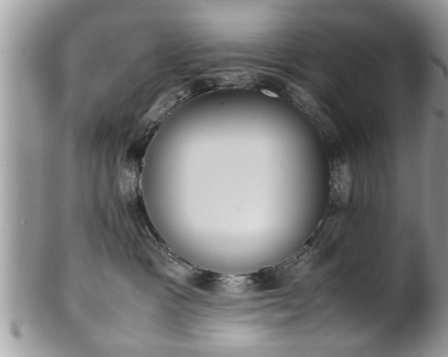 X0000101220333200807071354