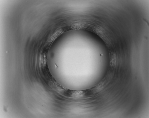 X0000101220334200807071354