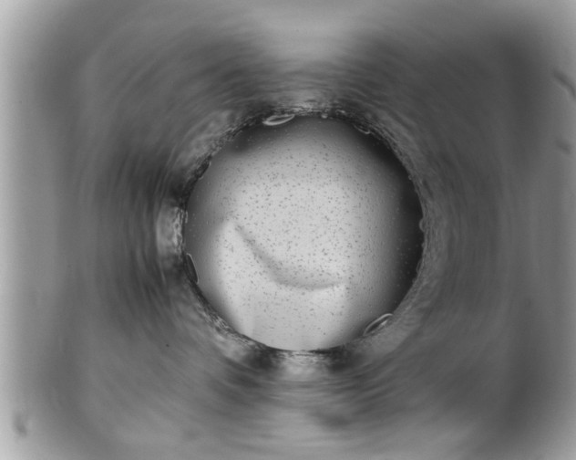 X0000101220336200807071354