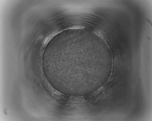 X0000101220337200807071353