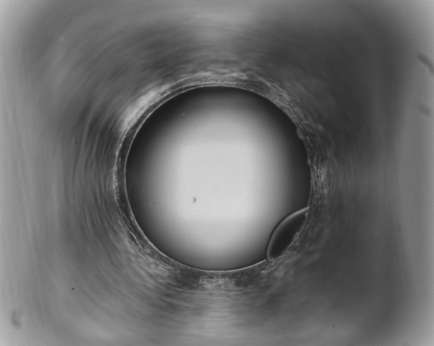 X0000101220340200807071353