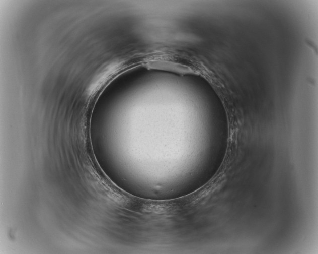 X0000101220341200807071353