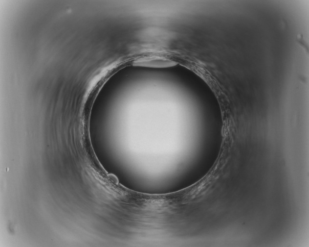 X0000101220342200807071353
