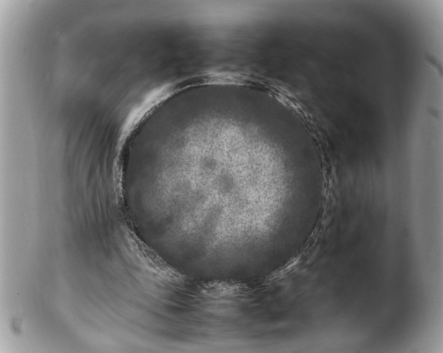 X0000101220343200807071353