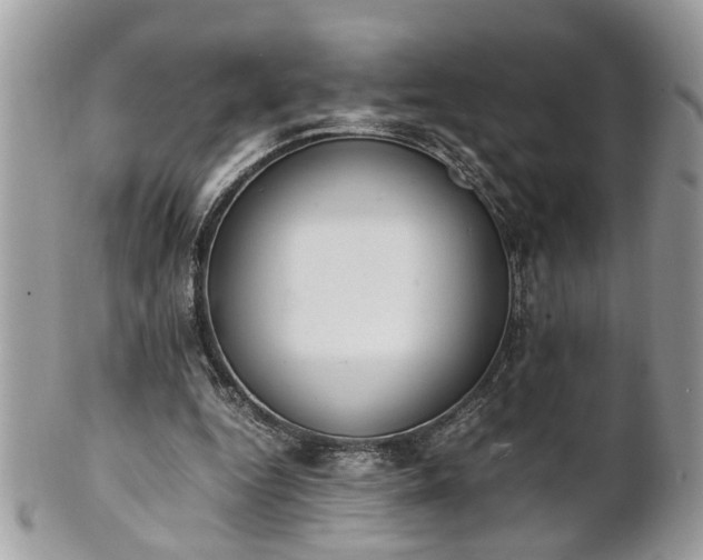 X0000101220344200807071353