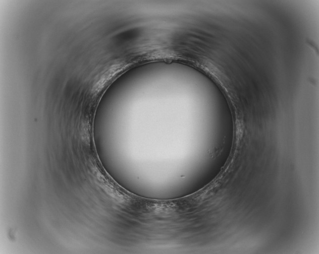 X0000101220345200807071353