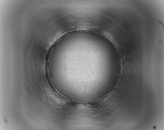 X0000101220346200807071353