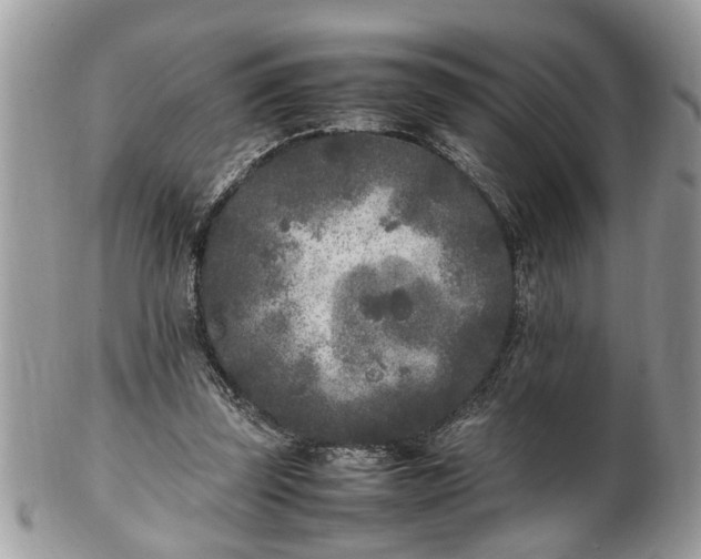 X0000101220347200807071353