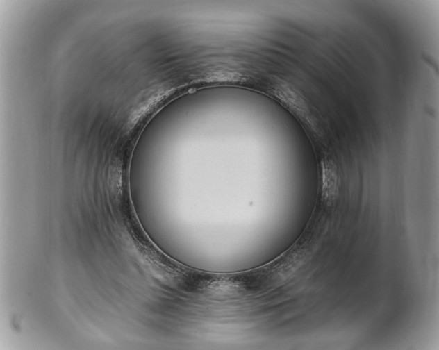 X0000101220348200807071353