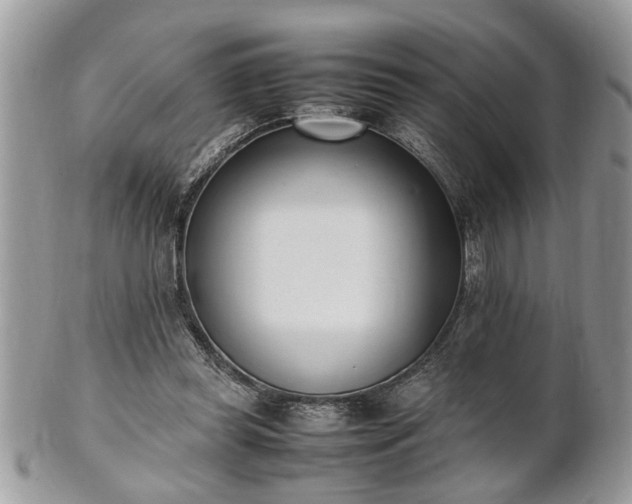 X0000101220349200807071353