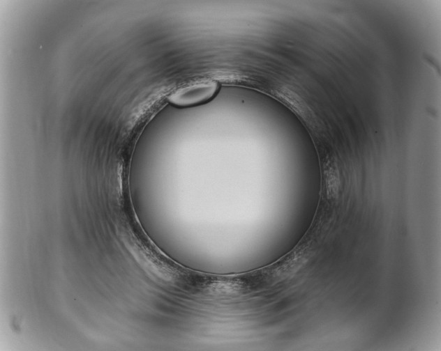 X0000101220350200807071353
