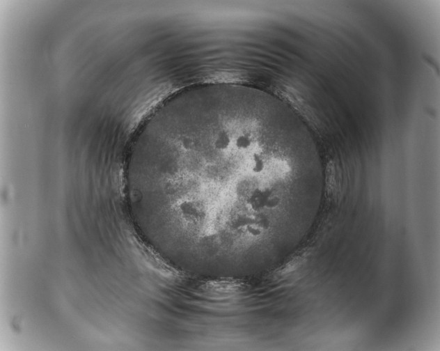 X0000101220351200807071353
