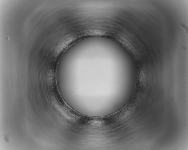 X0000101220352200807071353