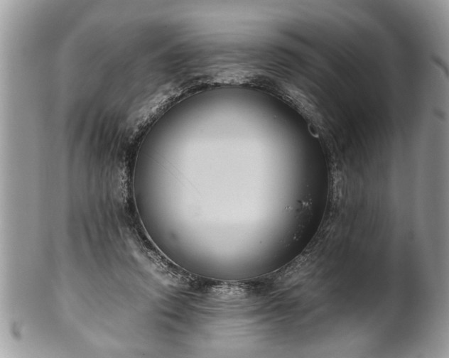 X0000101220354200807071353