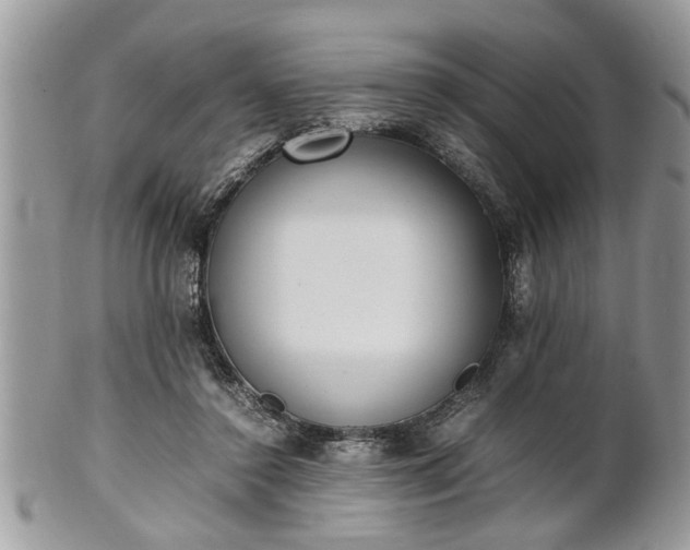 X0000101220356200807071353