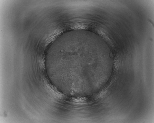 X0000101220359200807071353