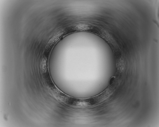 X0000101220360200807071353