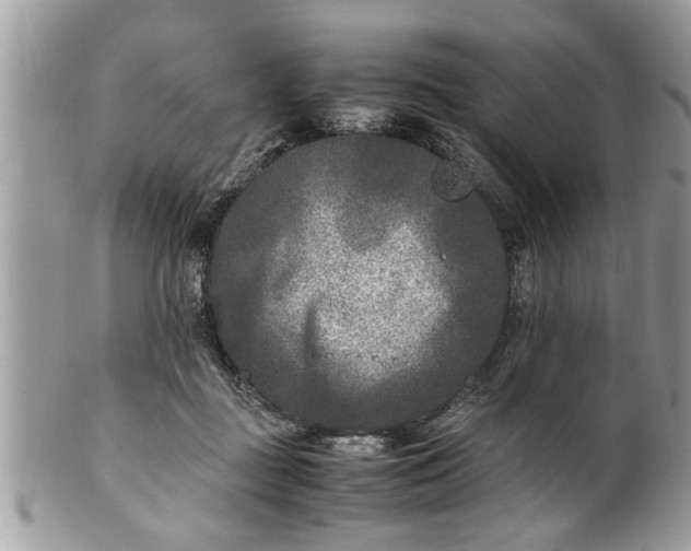 X0000101220363200807071353