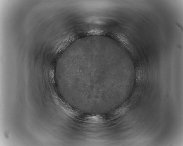 X0000101220365200807071353