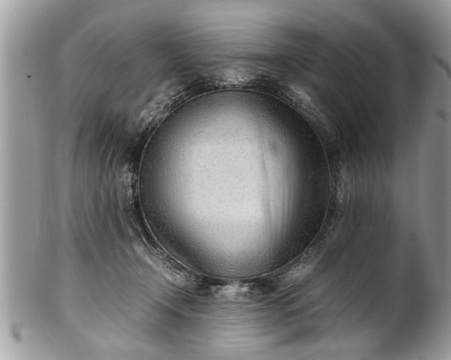 X0000101220366200807071353