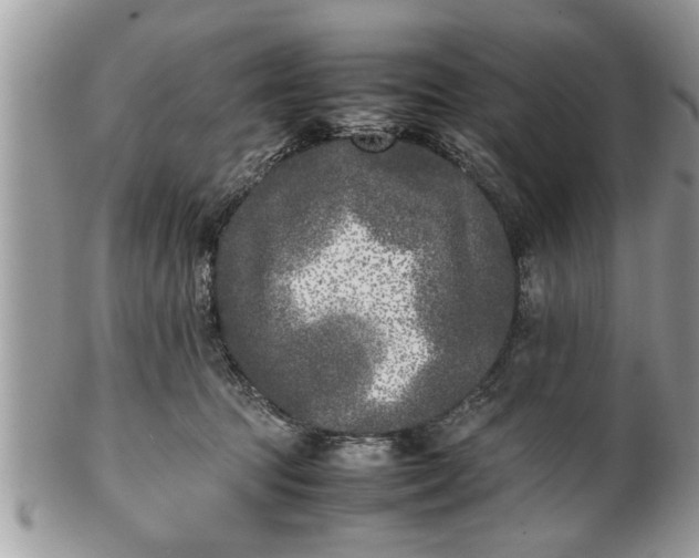 X0000101220369200807071353