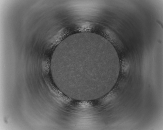 X0000101220370200807071353