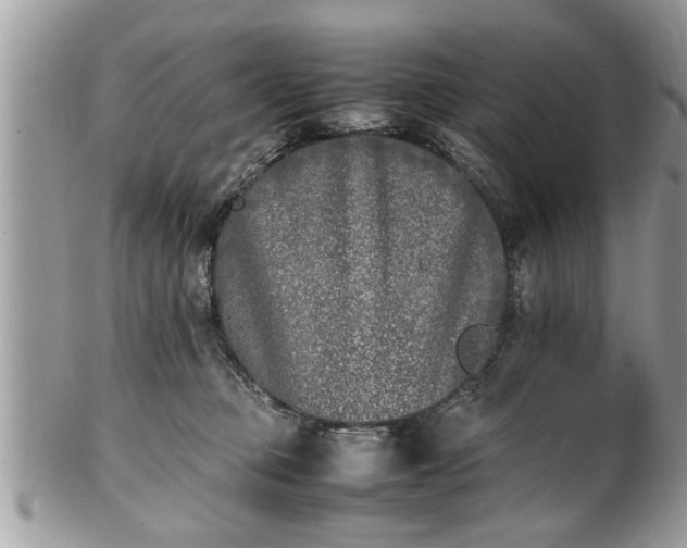 X0000101220373200807071353