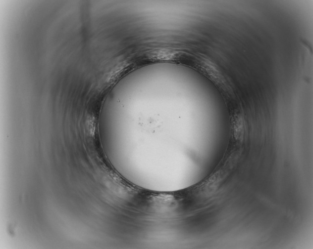 X0000101220374200807071353